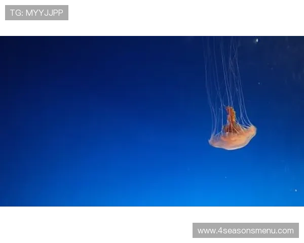 星空体育入口官网安全登录流程详解,保障您的账户信息安全