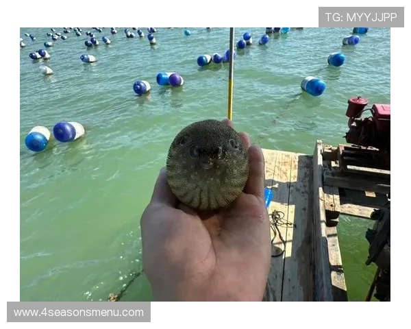 乐动ld体育雅典娜捕鱼最新活动震撼开启精彩不断的捕鱼豪礼等你来赢取